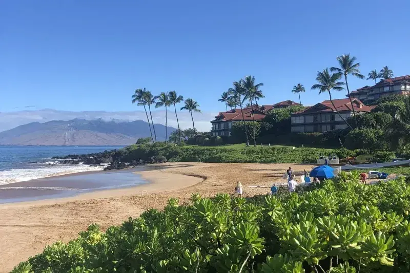 unique things to do on Maui