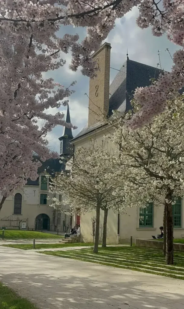 France Blossoms