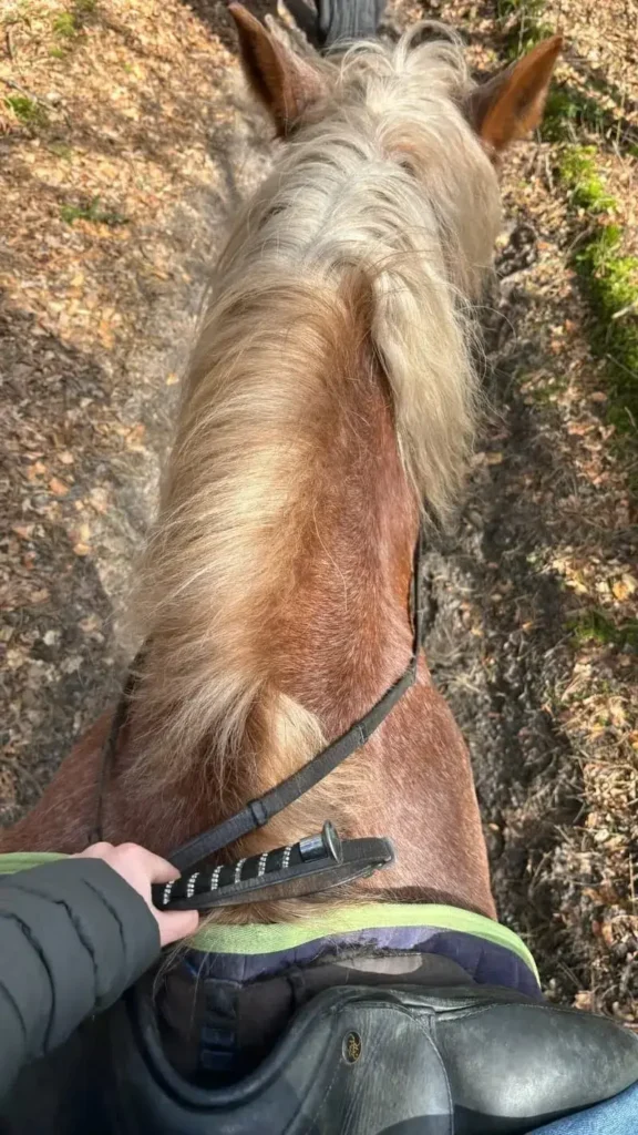 Horseback-Riding,Bergen