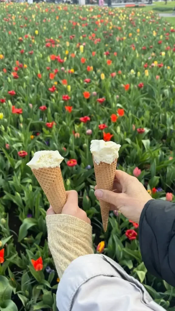 Ice Cream and Tulips