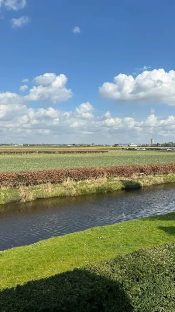 Netherlands Flower Field