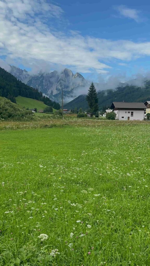 Green field with a white house almost near the mountains.