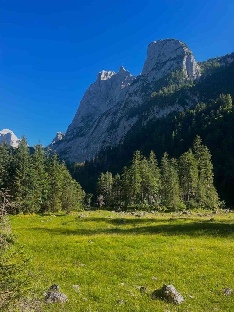 Lush green fields with green trees and mountains under a clear blue sky.