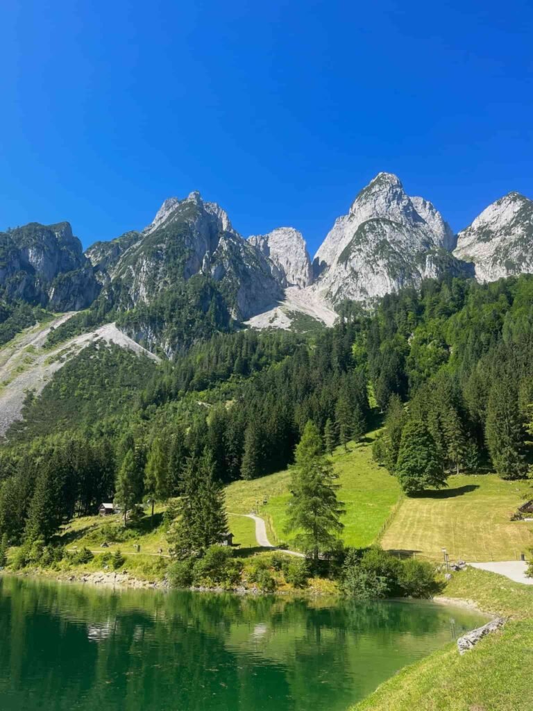 Lush green fields and mountains in Gosau.