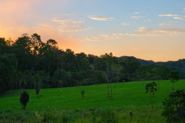 View of the green fields in Panama as the sun sets.