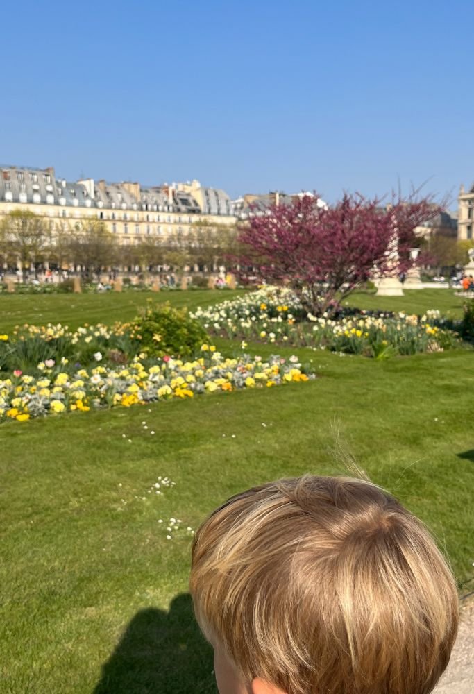 A sunny garden scene with colorful flowers in bloom, vibrant green grass, and a child observing the landscape, perfectly embodying a peaceful day outdoors.