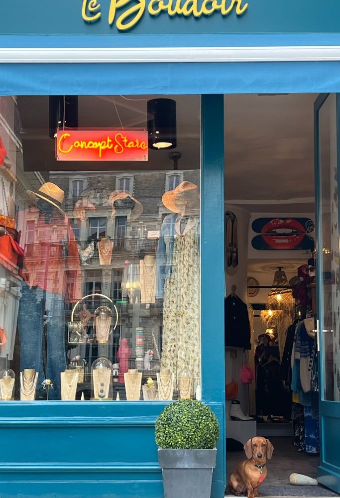 A charming concept store in France with jewelry and clothing on display, and a small dog sitting by the entrance.