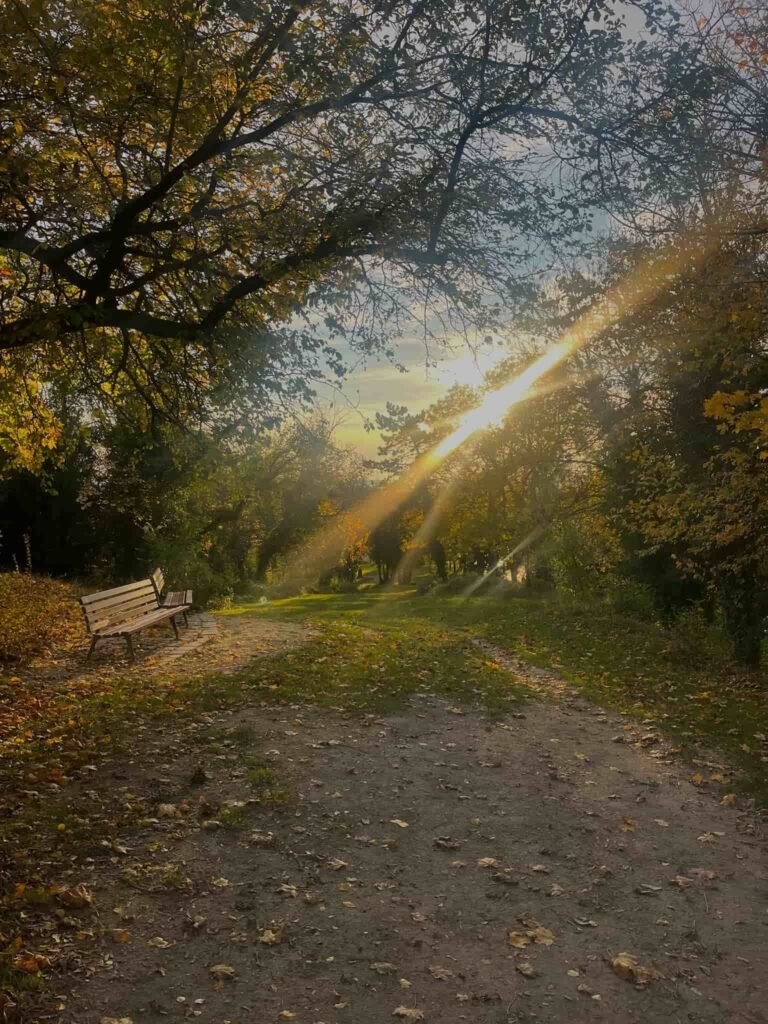 River Trail Reims France