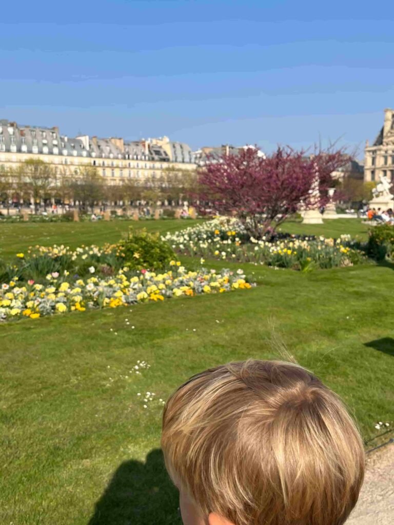 Spring Blossoms Louvre France