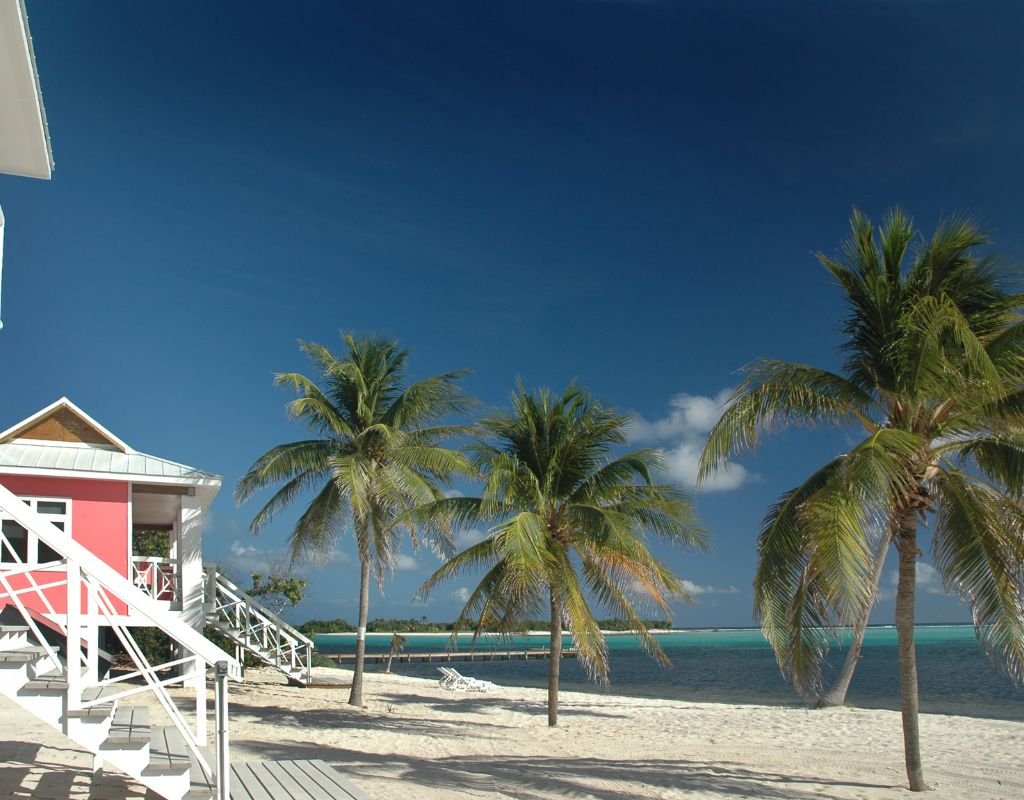 A beachfront house with palm trees, white sand, and a bright blue sky, showcasing the dream of buying a home by the coast.