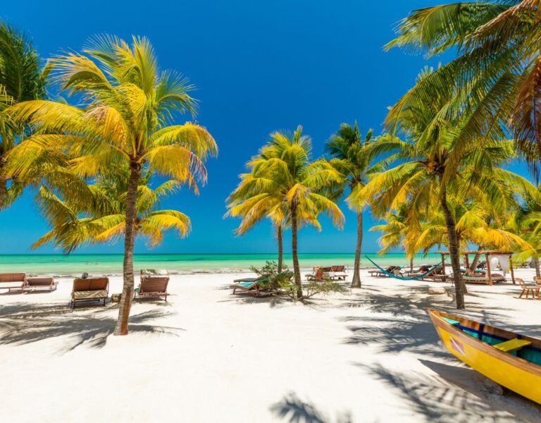 A stunning tropical beach with vibrant palm trees and turquoise water, offering a tranquil getaway and reflecting why so many look for reasons not to Move to Mexico?"